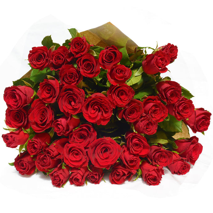 Fragrance Romantic Rose 100 mls