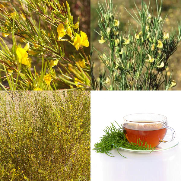 Fragrance Rooibos 500 mls