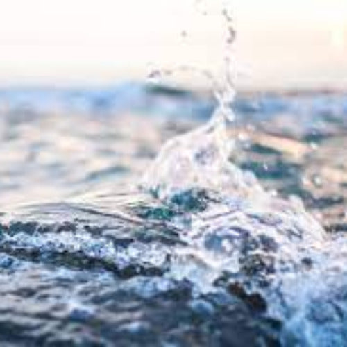 Fragrance Salt Water Sea 10 mls