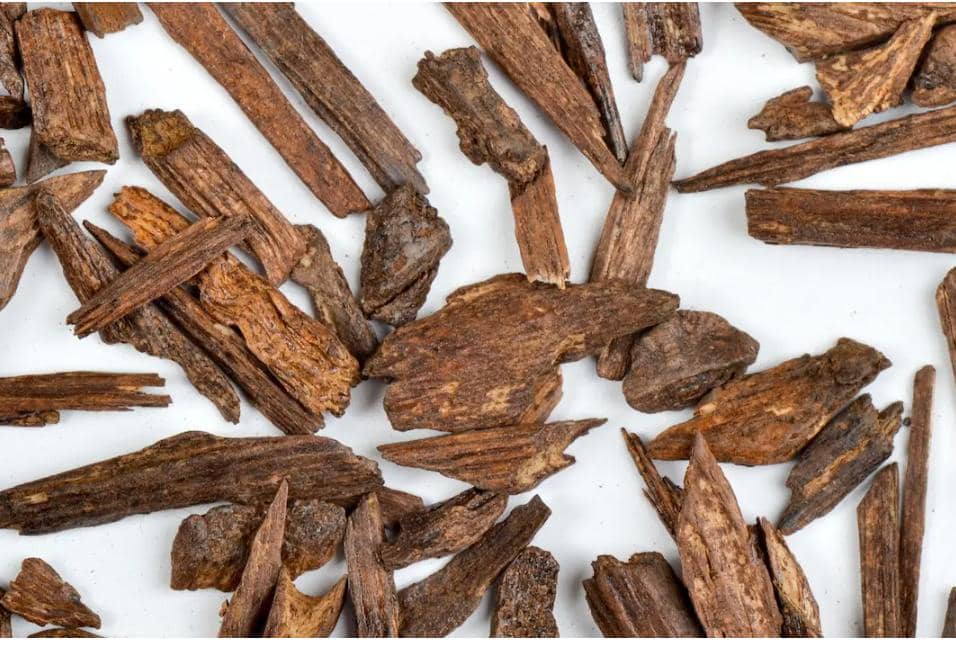 Oud Fragrance 10 mls