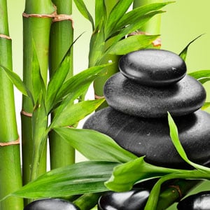 Zesty Bamboo Fragrance 10 mls