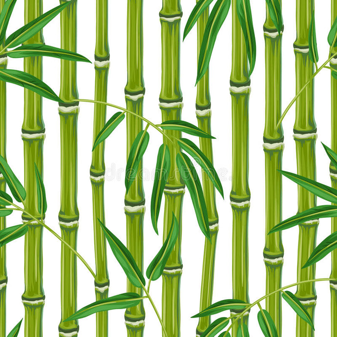 Fragrance Bamboo 500 mls