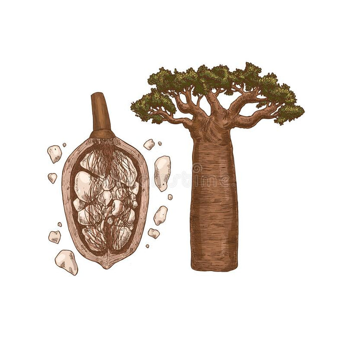 Fragrance Bulk Baobab CLA 1 litre