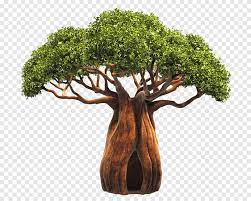 Fragrance Bulk Baobab CLA 1 litre
