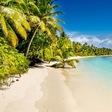 Fragrance Bulk Beach 500 mls