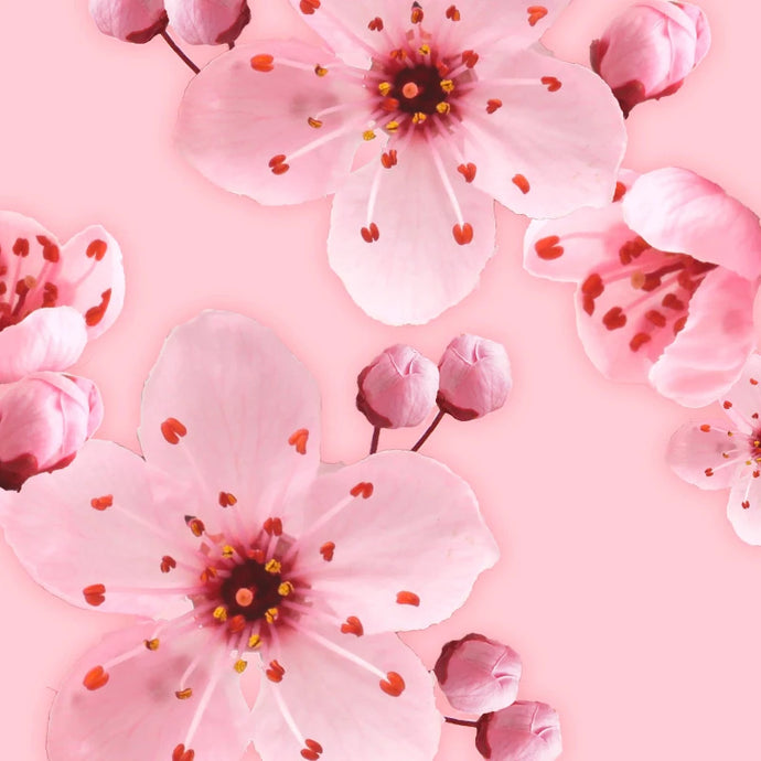 Fragrance Bulk Cherry Blossom 500 mls