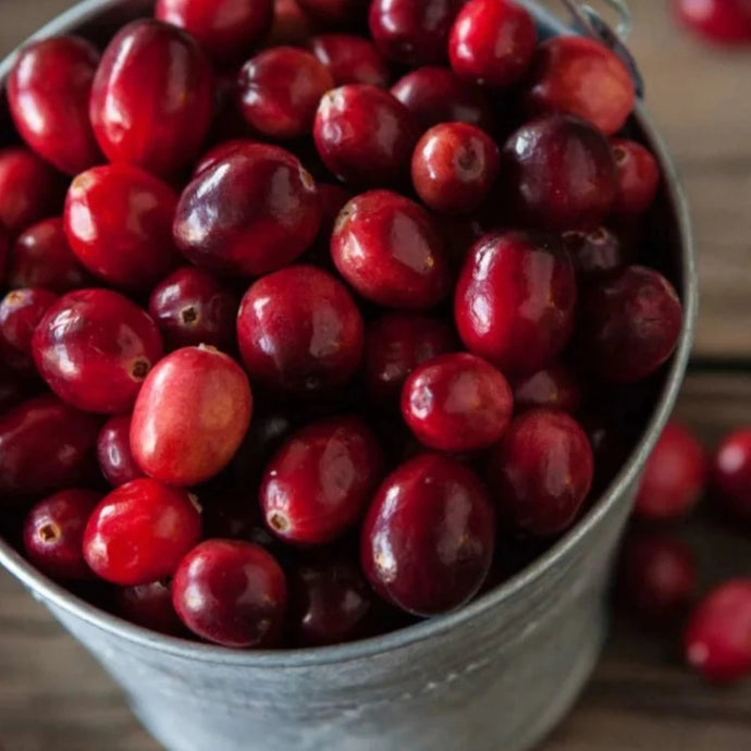Fragrance Bulk Cranberry 500 mls