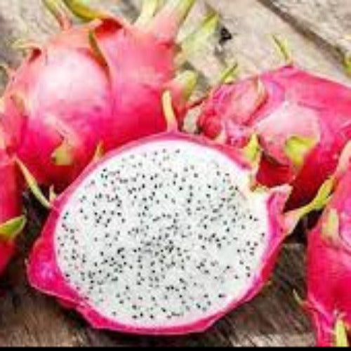 Fragrance Bulk Lotus & Dragonfruit  500 mls