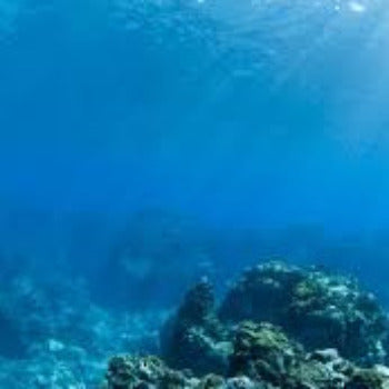 Fragrance Bulk Marine Fresh 500 mls