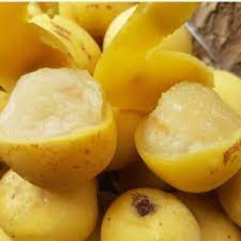 Fragrance Bulk Marula 500 mls
