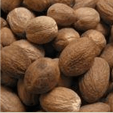 EO Nutmeg Essential Oil 10 mls
