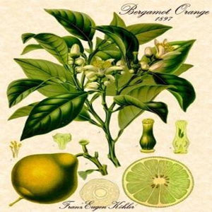 EO Bergamot Essential Oil 10 mls